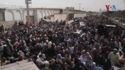 په کېلېفورنیا کې مېشته وېت نامي امریکایان د افغان کډوالو په مرستو کې برخه اخلي