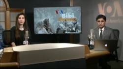 بي بي شیرینه – د ډیوه ریډیو په ټی وي خپرونه 