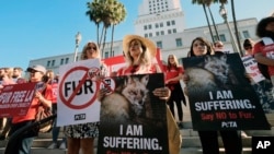 Margo Paine (tengah) bersama para aktivis organisasi perlindungan hak-hak binatang (PETA) dalam unjuk rasa meminta pelarangan penggunaan bulu binatang untuk fesyen di Los Angeles, California, 18 September 2018. (Foto: AP)