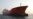 China Denies Involvement in Illicit Oil Shipments to North Korea