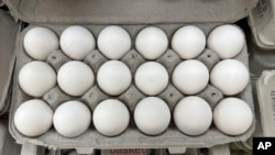 Telur dijual di sebuah toko kelontong di Lyndhurst, New Jersey, pada Minggu, 19 Januari 2025. Wabah flu burung memaksa petani menyembelih jutaan ayam setiap bulan, menyebabkan harga telur di AS melonjak lebih dari dua kali lipat pada musim panas 2023. (Foto: AP)