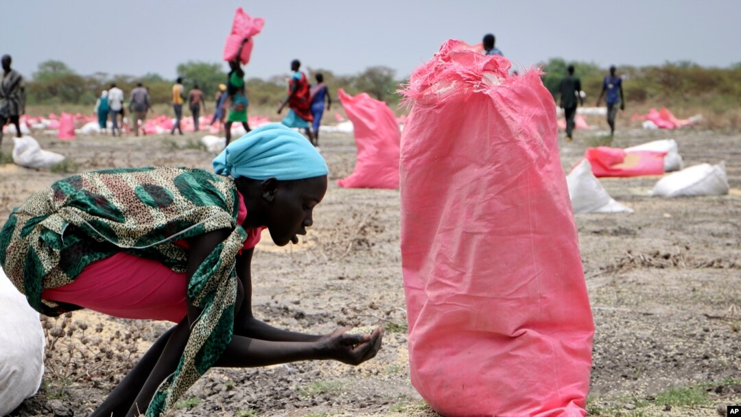 Seorang perempuan Sudan mengumpulkan biji sorgum yang tercecer di tanah dari bahan pangan yang dijatuhkan dari udara oleh Program Pangan Dunia (WFP) di kota Kandak, Sudan Selatan, 2 Mei 2018. (AP Photo/Sam Mednick)