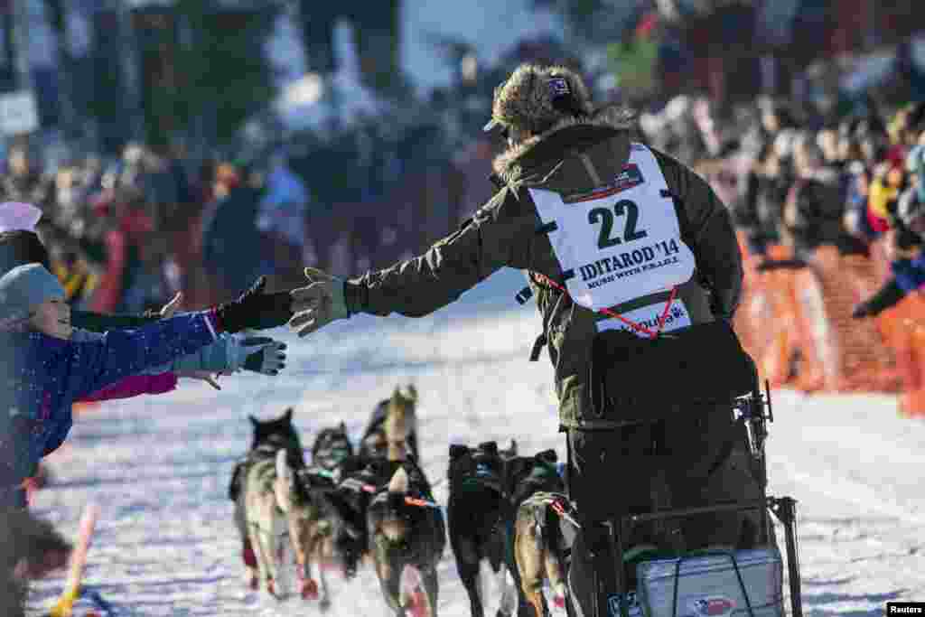 Norwegian Robert Sorlie greets fans as he leaves the start chute during the official restart of the Iditarod dog sled race in Willow, Alaska, March 2, 2014.