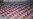 Travel Agencies: N. Korea Planning to Suspend Mass Games