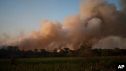 FILE - A fire rages over the Chateau des Bertrands vineyard in Le Cannet-des-Maures, Aug.17, 2021, in southern France.