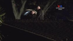 SHORT VIDEO: Ծխնելույզի պատանդը