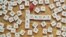The words debt and Europe, made from letters of a scrabble game, are seen in this illustration. 