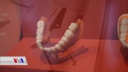 Muzexaneya Diranzanî ya Netewî Mêvandarîya bi Hezran Berhemên Balkêş Dike