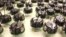 Several kilobots from a swarm of 1,000 simple, but collaborative, robots are seen in this photo from Harvard. 