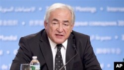 La réforme du FMI devra être entérinée par son conseil d'administration début novembre, a déclaré le directeur général du Fonds, Dominique Strauss-Kahn