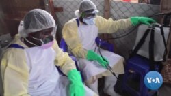 US Health Delegation Commited to Fighting Ebola Outbreak in DRC