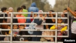 Warga Palestina yang mengungsi ke arah selatan dari utara Gaza menaiki truk di tengah meningkatnya serangan Israel ke kantong permukiman itu, di tengah Jalur Gaza, Minggu, 12 November 2023. (Foto: Ibraheem Abu Mustafa/Reuters)