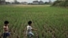 Dua orang anak melintasi sawah di kawasan Rancasari, Bandung, sementara apartemen nampak di kejauhan. Jawa Barat dinilai memiliki potensi yang besar sehingga jadi tujuan investasi. (Foto: Rio Tuasikal/VOA)