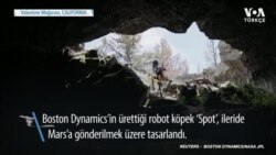 Robot Köpek ‘Spot’ Mars Yolculuğu İçin Eğitiliyor