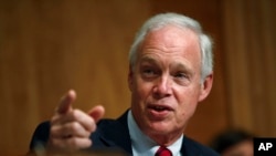 Sen. Ron Johnson, R-Wis., chairman of the Senate Committee on Homeland Security and Governmental Affairs, speaks during a hearing on border security, Wednesday, June 26, 2019, on Capitol Hill in Washington. (AP Photo/Patrick Semansky)