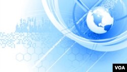 晚上10-11点节目