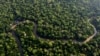 Presidente brasileño espera que Cumbre Amazónica restaure protecciones