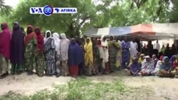 VOA60 Afrika: ‘Yan Najeriya Da Yakin Boko Haram Yaraba Da Muhallansu Na Ci Gaba Da Arcewa Zuwa Sansanonin Sojoji