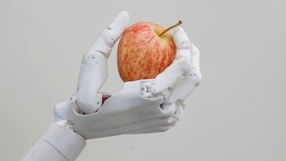 Rise of the Robots American Café February 20, 2018