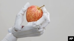 FILE - Hanson Robotics' robot Sophia holds an apple in Hong Kong, Sept. 28, 2017.