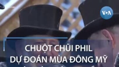 Chuột chũi Phil dự đoán mùa đông Mỹ kéo dài thêm 6 tuần 