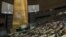 United Nations General Assembly 
