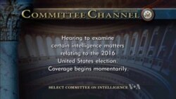 Live: Джефф Сешнс дает показания в Конгрессе