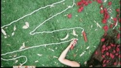 VOA Pop Notes - Eps. The Big Apple Segmen 2