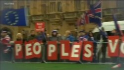 اخبار شامگاهی