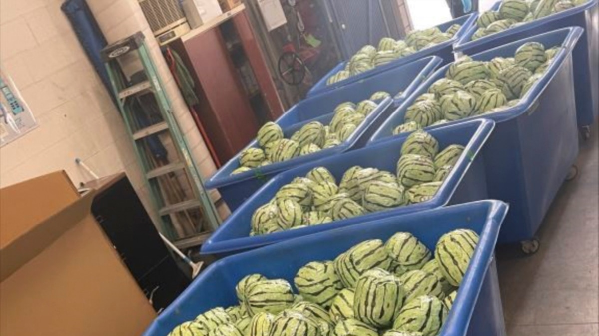 U.S. Customs Service seizes methamphetamine disguised in watermelon at the San Diego border