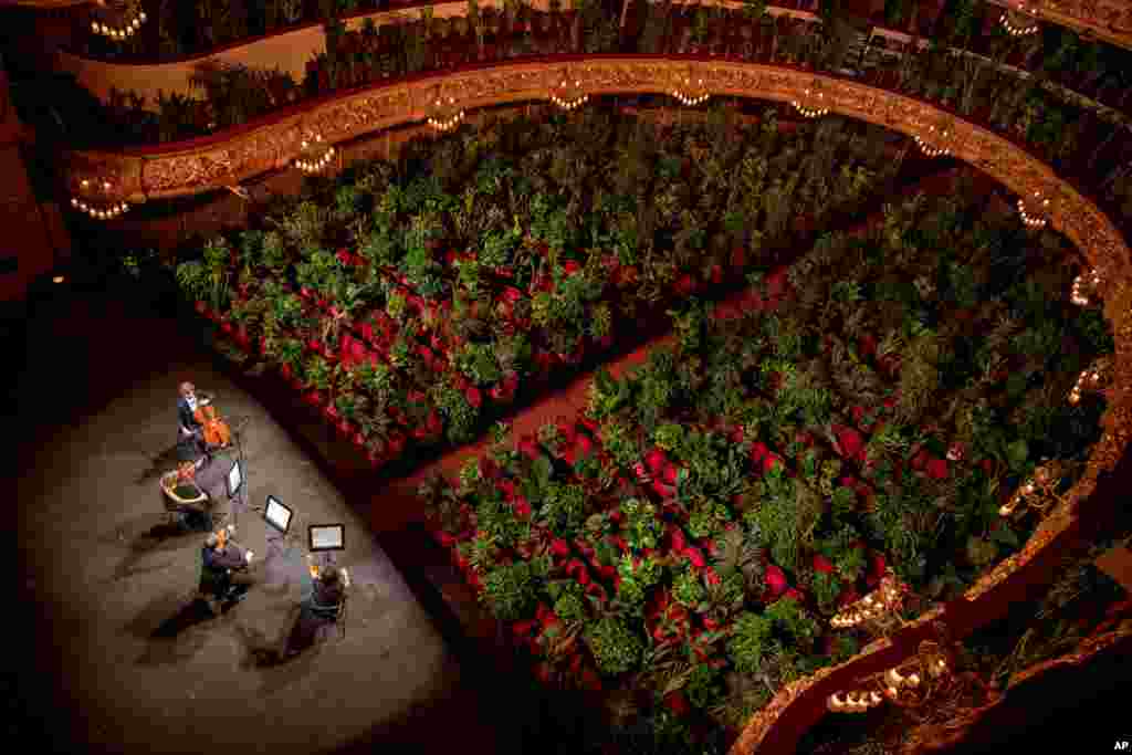 Musicians rehearse at the Gran Teatre del Liceu in Barcelona, Spain.