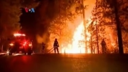 Kebakaran Hutan California Ancam Persediaan Air