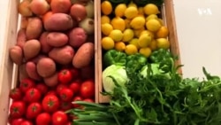 انتقال میوه و سبزیحات تازه به منازل در کابل