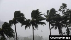 West Bengal Storms 