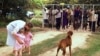 FILE - In this file photo dated March 29, 2000, Pippa van Rechteren, left, and her two-year-old twins Catherine, second from left, and Elisabeth, third from left, are blocked from leaving their house on the white-owned commercial farm, Chiripiro, by Zimbabwe war veterans. (AP)