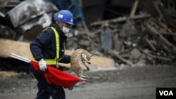 Ante el peligro de que los niveles de radiactividad sean mayores, las autoridades ampliaron la zona de evacuación en el radio de la planta nuclear de 20 a 30 kilómetros.