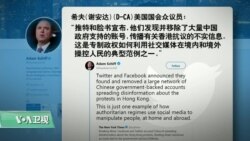 VOA连线(李逸华)：美议员称北京近千涉港假账号为专制政府操弄舆论范例