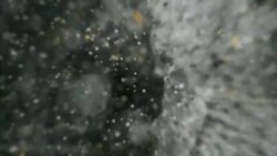 بي بي شیرینه – وي او اې ډيوه په ټیلې ویژن