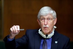 FILE - National Institutes of Health Director Dr. Francis Collins speaks during a Senate Health, Education, Labor, and Pensions Committee hearing on new coronavirus tests, on Capitol Hill in Washington, May 7, 2020.