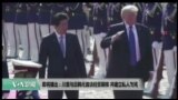 美国观察2017年11月7日