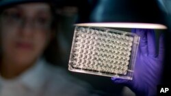 FILE - A microbiologist reads a panel to check on a bacterium's resistance to an antibiotic in the Infectious Disease Laboratory at the federal Centers for Disease Control and Prevention in Atlanta.