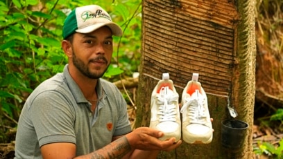 Sports Shoes Help Sustainable Rubber in Brazil