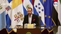 Nayib Bukele Prensa Internacional