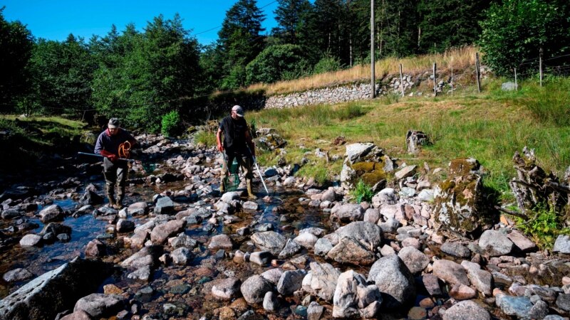 Study: Heatwaves Can Force Ocean Life to Flee Great Distances