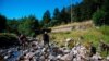 Study: Heatwaves May Force Fish to Flee Huge Distances 