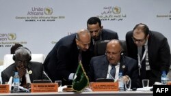The launch of an African Continental Free Trade Area will be the focus of the two-day summit of the Executive Committee of the Meeting of the African Union at the Palais des Congres in Niamey, July 5, 2019. 