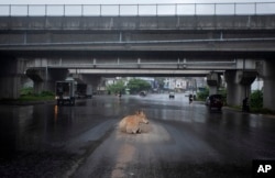 A cow takes refuge from rain under an overpass at a generally crowded intersection during a lockdown imposed to curb the spread of COVID-19 in Colombo, Sri Lanka.