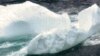 Unusually Large Swarm of Icebergs Drifts into Shipping Lanes