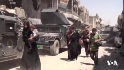 Gefa DAIŞê li Zindan û Kampên Bakur û Rojhilata Sûrîyê