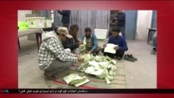 د ډیوه د روانو چارو خپرونه په ټي وي
